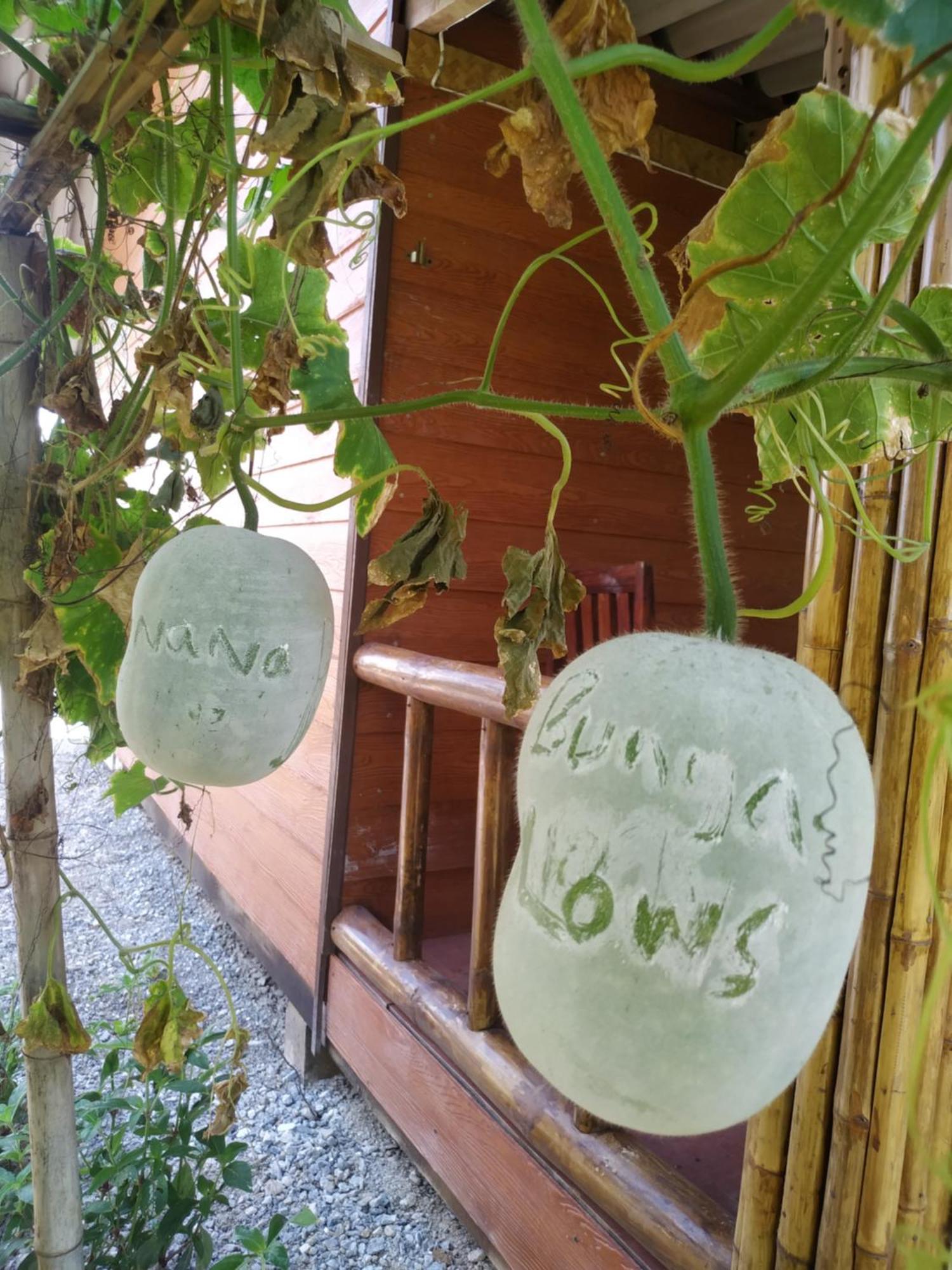 Nana Bungalows Ban Tan Bilik gambar