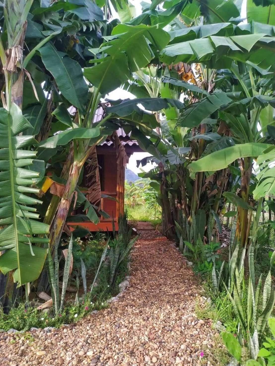 Nana Bungalows Ban Tan Bilik gambar